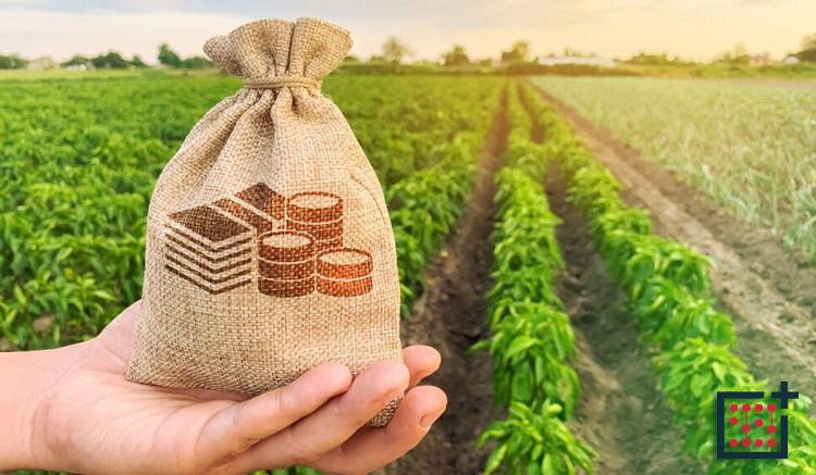 مالیات بر درآمد کشاورزی