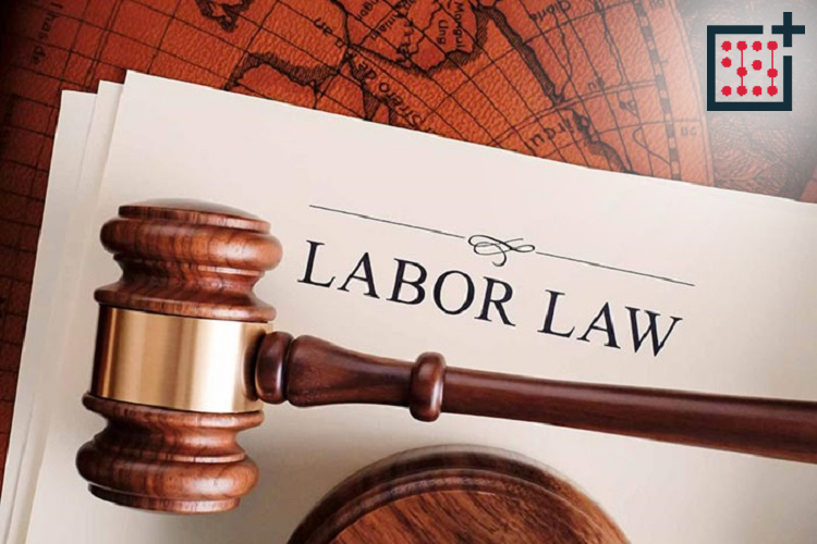 مشاوره بیمه و قانون کار
